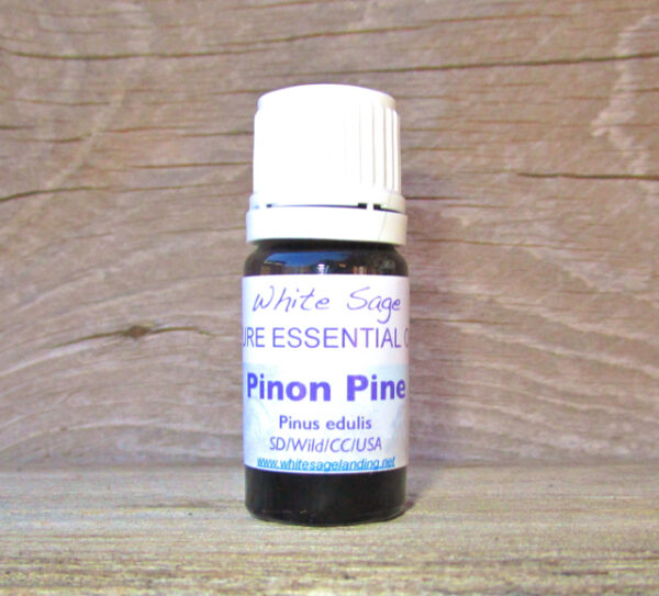 Pinon Pine Essential Oil 5 ml