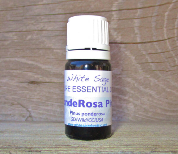 ponderosa-pine-5ml-2 Ponderosa Pine Essential Oil