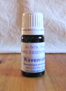 Ravensare Essential Oil