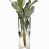 dreamstime_xs_18739379WSage white sage essential oil 3