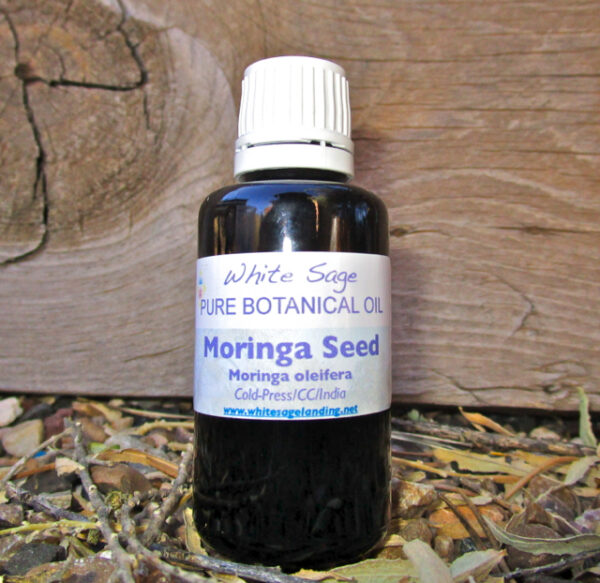 moringa-seed Moringa Seed Botanical Oil 30ml