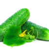 dreamstime_cucumber cucumber seed botanical oil 3