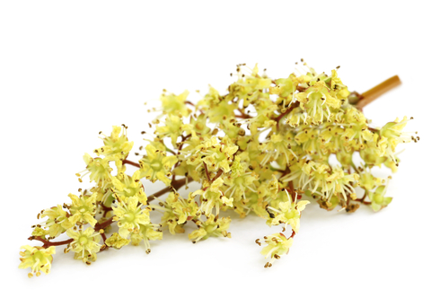 dreamstime_xs_45749677HennaFlower gulhina attar 2