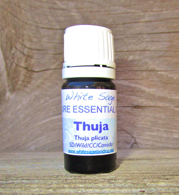 Thuja Essential Oil 5 ml