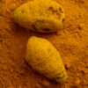 turmeric co2 extract 2