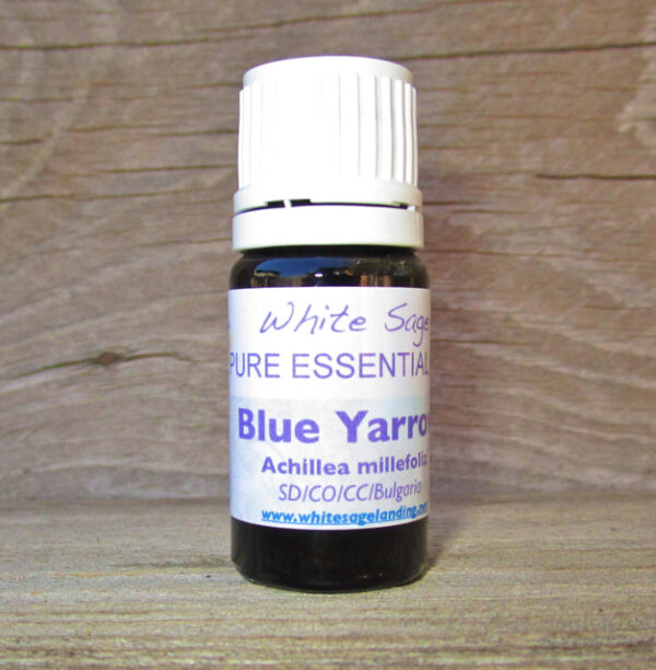 blue-yarrow Yarrow Essential Oil 5 ml