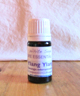 Ylang-Complete ylang ylang complete essential oil 3
