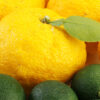 yuzu essential oil 2
