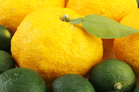 yuzu essential oil 2