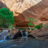 55-D water vibrational remedy 2