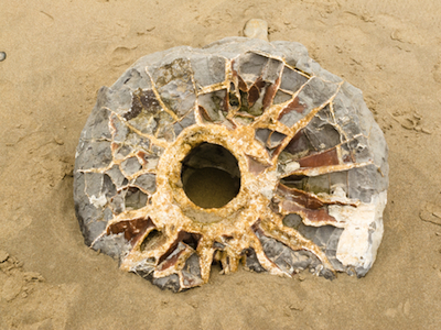 dreamstime_xs_25653790septarian septarian gem elixir remedy 2