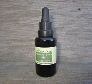 yellow-star-dosage-remedy yellow star vibrational remedy dosage level