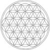 Aromatherapy Healing Ascension Book