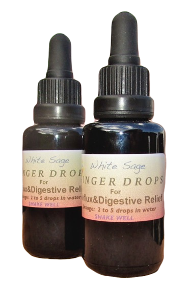 Ginger Drops Remedy for Digestive Relief