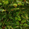 Spruce Hydrosol