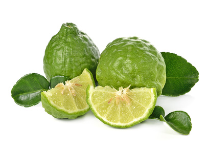 Kaffir lime on white background Combava-Essential-Oil