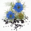 Black Seed Botanical Oil