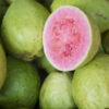 Guava Seed Botanical Oil