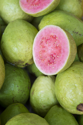 Fresh ripe guava fruit cut open to display the pink flesh at a farmers market in Rio de Janeiro, Brazil Guava Seed Botanical Oil