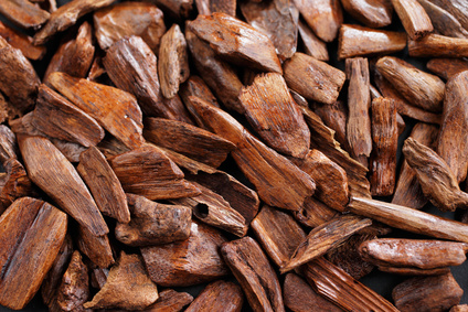In most Arab countries bukhoor is the name given to wood chips Amyris Essential Oil