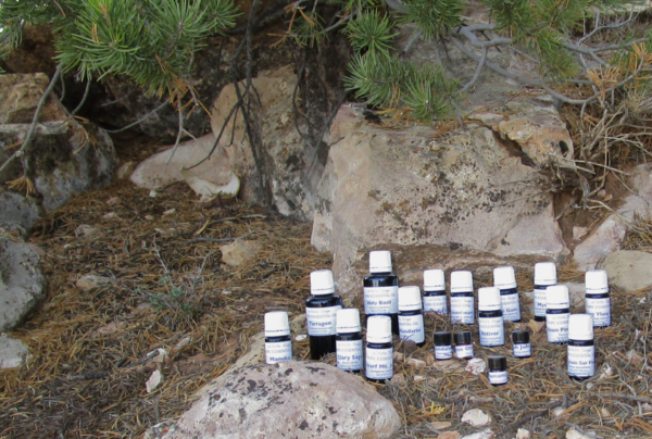 White Sage Landing Products Custom Product