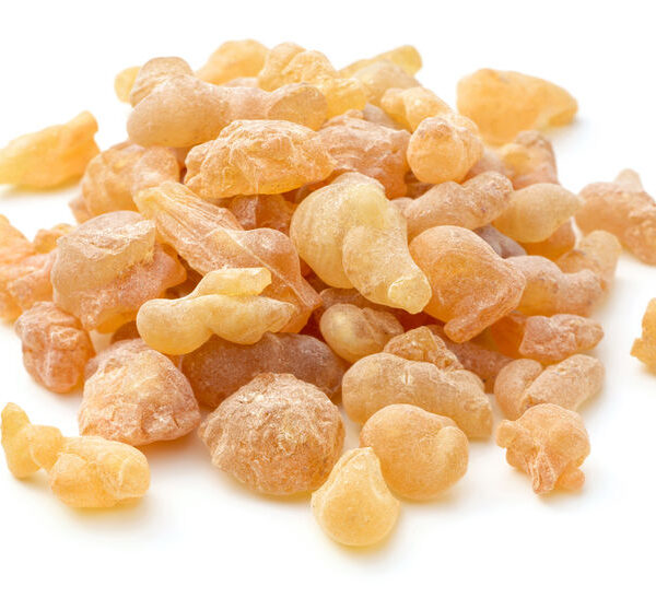 Frankincense Birdwood Essential Oil