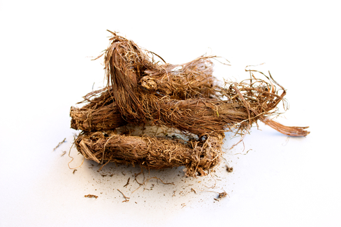 spikenard-essential-oil